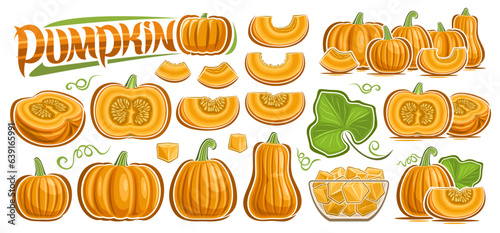 Vector Pumpkin Set, big collection of outline illustration pumpkin and squash vegan compositions, set of cut out various organic fruits with raw seeds, chopped gourd in glass plate and text pumpkin