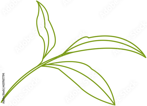Green tea leaf minimal line icon