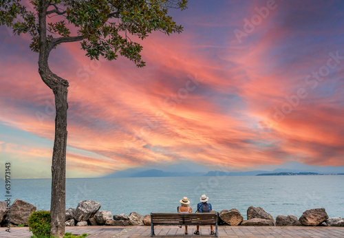 Fototapeta Naklejka Na Ścianę i Meble -  landscape with a tree and lake garda, italy