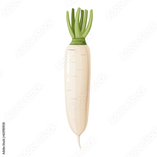 Daikon radish with green stem. Horseradish rhizome plant.