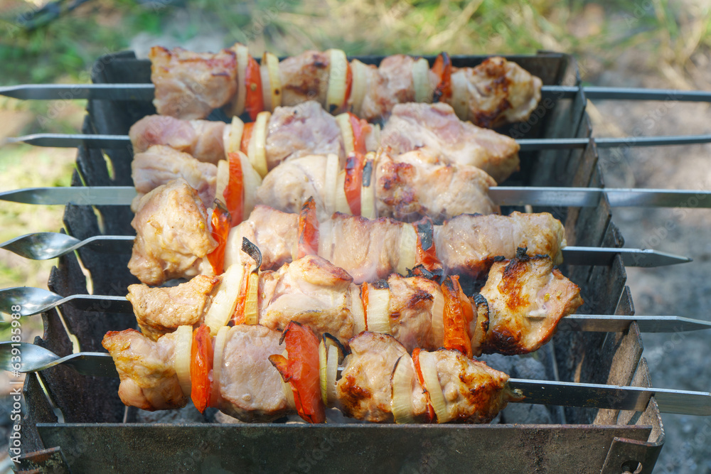 Grilled pieces of meat on skewers, shish kebab with vegetables, cooking process on fire, on brazier. Roasted marinated meat cooked at barbecue, picnic in summer day.