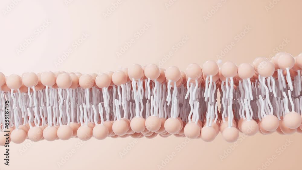 Cell membrane structure background, 3d rendering.