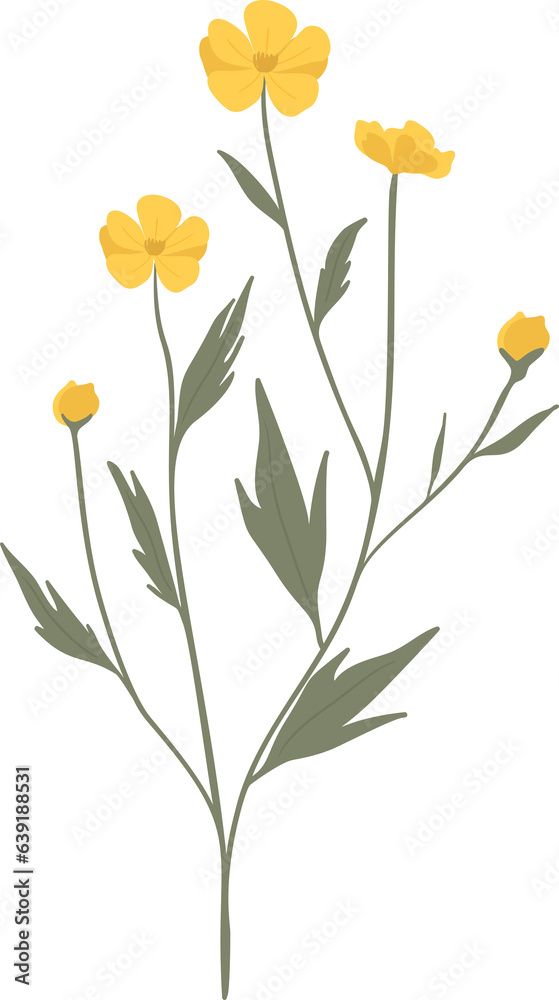 Beautiful hand drawn floral illustration Beautiful hand drawn floral illustration