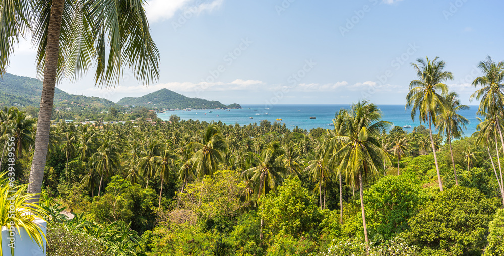 Paradise exotic Koh Tao island in Thailand panorama. Tropical panoramic landscape with palm trees, blue sky and view on sea horizon from the high in sunny day
