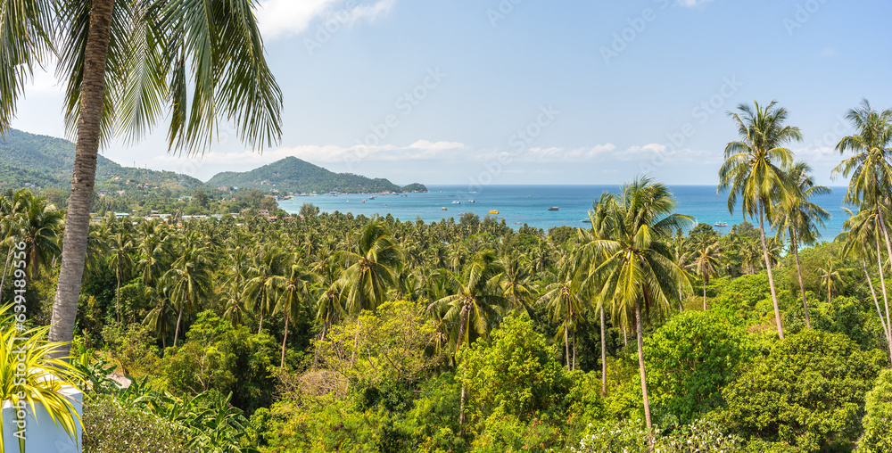 Paradise exotic Koh Tao island in Thailand panorama. Tropical panoramic landscape with palm trees, blue sky and view on sea horizon from the high in sunny day Paradise exotic Koh Tao island in Thailand panorama. Tropical panoramic landscape with palm trees, blue sky and view on sea horizon from the high in sunny day