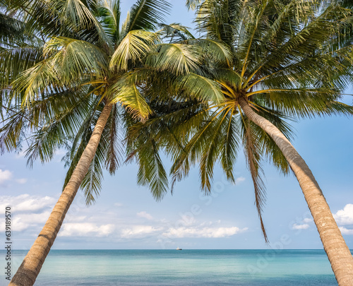 Tropical paradise beach with palms and clear turquoise water in sea. View on ocean horizon. Travel and escape on exotic Koh Tao island