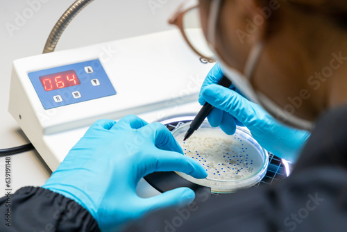 Wallpaper Mural Scientist analysis and cultivate bacteria molds and fungal testing clinical samples, cultured in petri dish. Growth media to isolate total fungal by using colony counter in laboratory. Torontodigital.ca