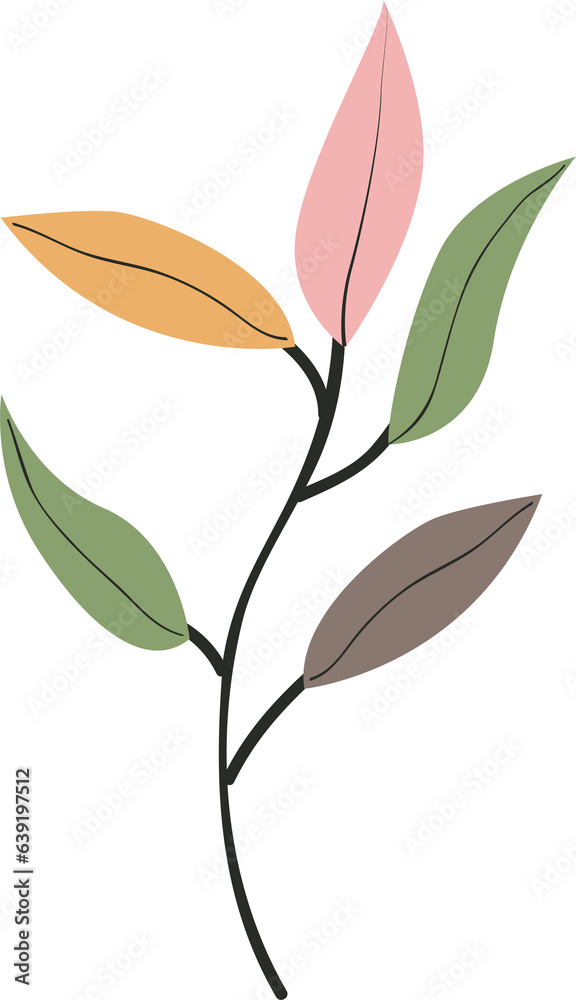 plant leaves 313