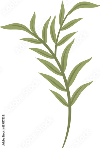 plant leaves 308