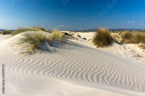 Is arenas biancas beach with dunes of fine white sand near Porto Pino in Sant Anna Arresi  Teulada  Sardinia  Italy