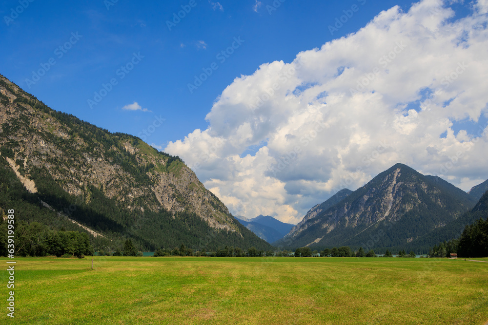Field path between green mowed meadows towards Heiterwanger lake with mountains in the background on a sunny day with blue sky in Heiterwang, Austria