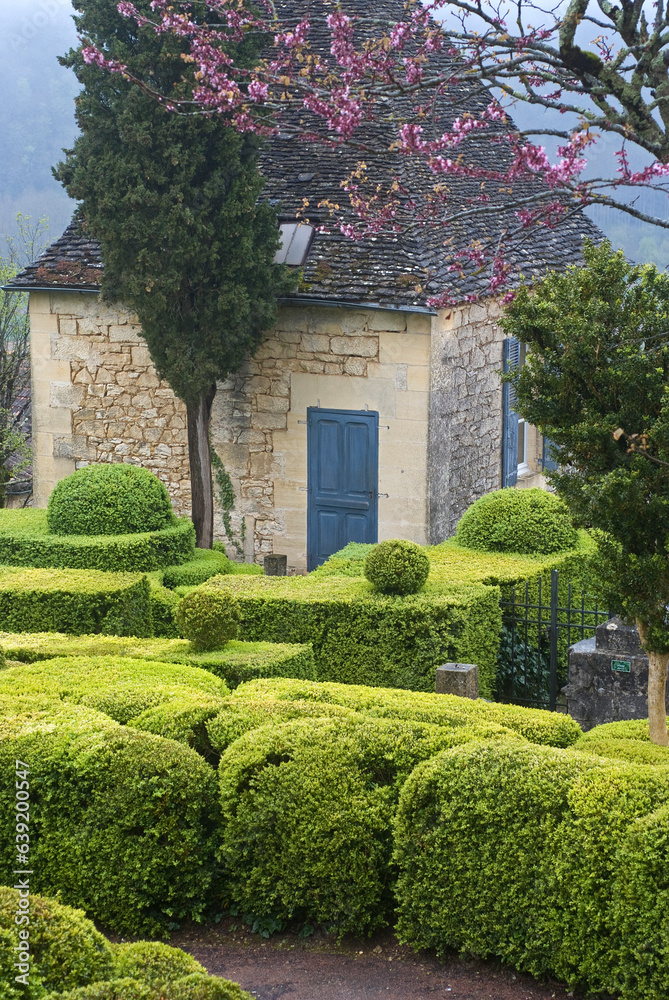 Buxus sempevirens, Buis,  Les jardins suspendus, chateau de Marqueyssac, 24, Dordogne, France