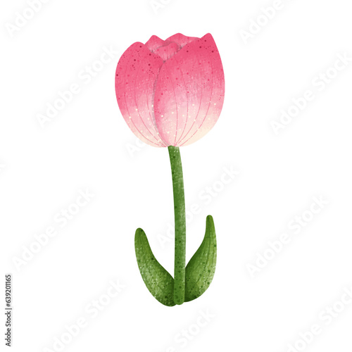 Pink tulip flower,floral,Flower,plant,flora,nature,watercolor,cartoon character,cute,icon ,vector, illustration,hand drawn
