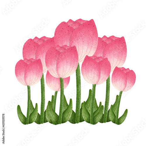 Pink tulip flower,floral,Flower,plant,flora,nature,watercolor,cartoon character,cute,icon ,vector, illustration,hand drawn