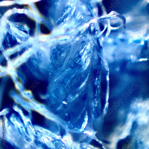 Blue cotton threads under the microscope.