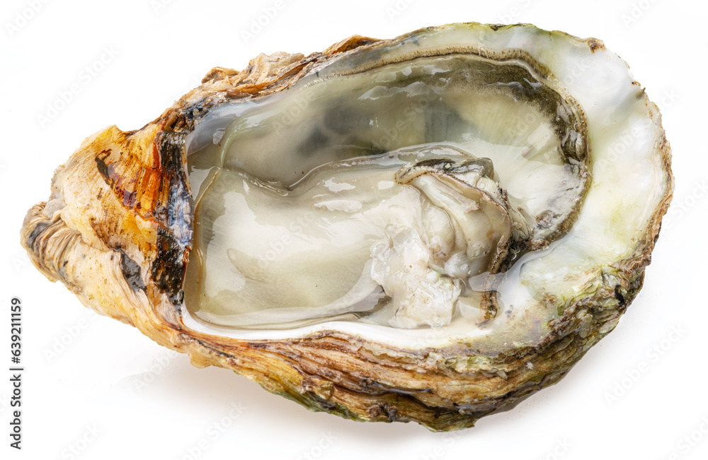 Opened raw oyster isolated on white background. Delicacy food. Opened raw oyster isolated on white background. Delicacy food.
