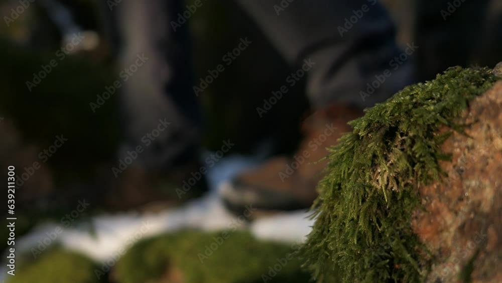 Walking in forest snow and moss feet close up Walking in forest snow and moss feet close up