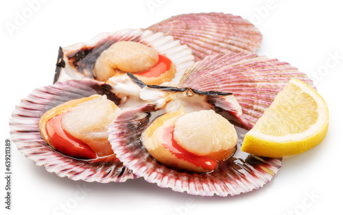 Group of fresh opened scallop with lemon slice close up. Clipping path.