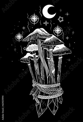 Pilze Zauberpilze mit Sternen und Kristallen. Okkultes Vektor Design für Halloween Herbst Samhain Pilzsammler und Tattoo Fans.