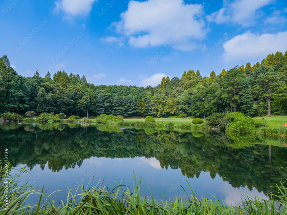 lake and forest