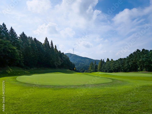 Green grass Golf course cloud and blue sky