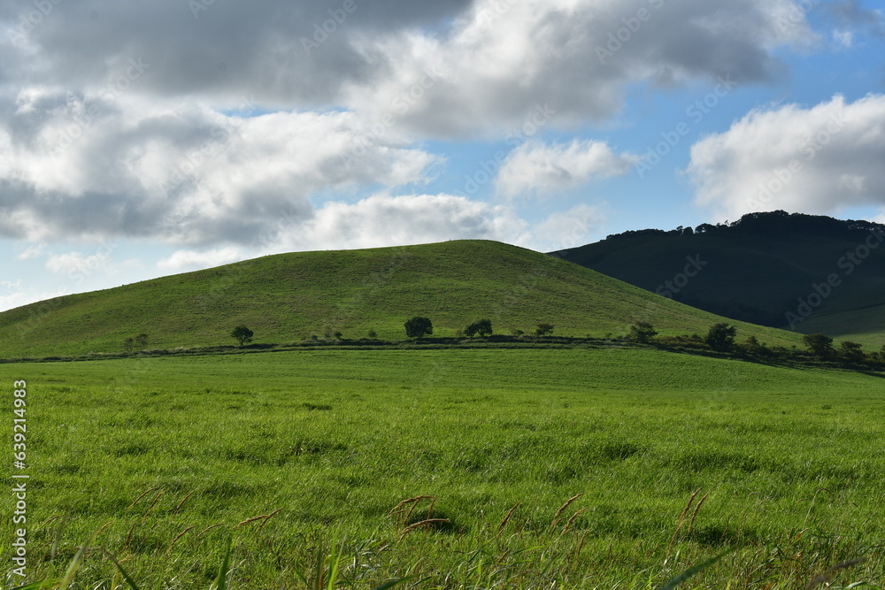 Obraz premium 北海道の草原地帯