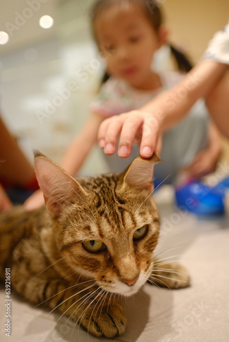child and cat