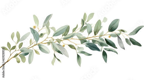 Eucalyptus, olive green and gold leaf branches for wedding . photo