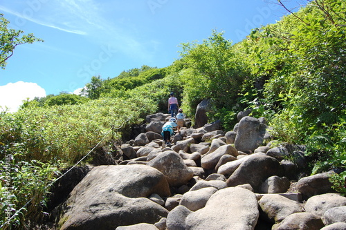 hiking in the mountains (大雪山への登山道)