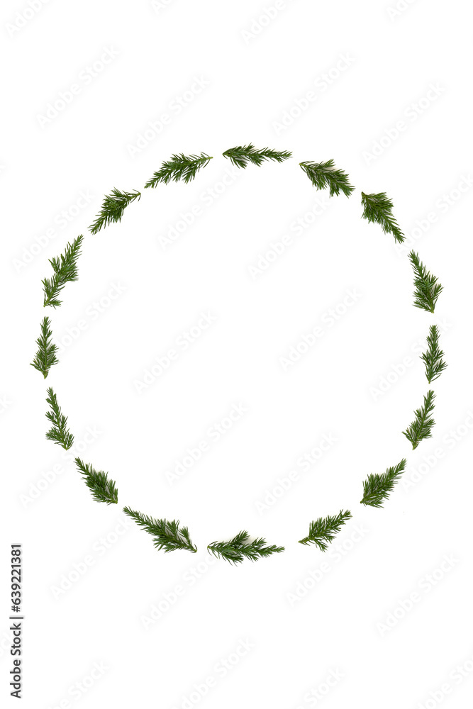 Juniper fir winter wreath. Minimal Christmas, Noel, Yule frame design for card, invitation, logo, card, menu. On white background.