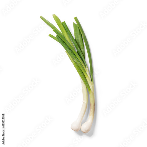 Close up view leek isolated on white background.