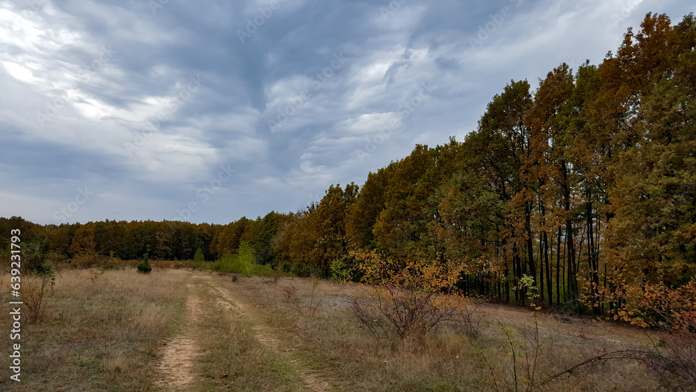 A trail through the middle of a dry meadow in the autumn season. Wild place close to the forest far from civilization 