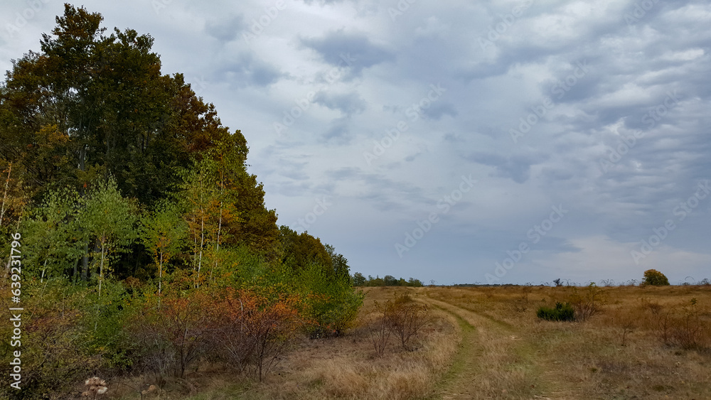 A trail through the middle of a dry meadow in the autumn season. Wild place close to the forest far from civilization A trail through the middle of a dry meadow in the autumn season. Wild place close to the forest far from civilization