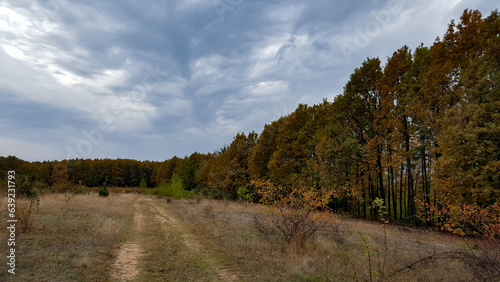 A trail through the middle of a dry meadow in the autumn season. Wild place close to the forest far from civilization 