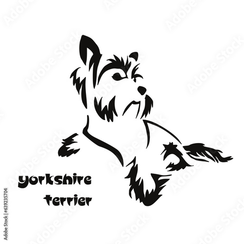 Lying stylized Yorkshire terrier. Vector drawing of a small dog with a haircut and hypoallergenic hair. Animal Gestalt Design