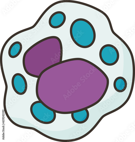 basophils  icon