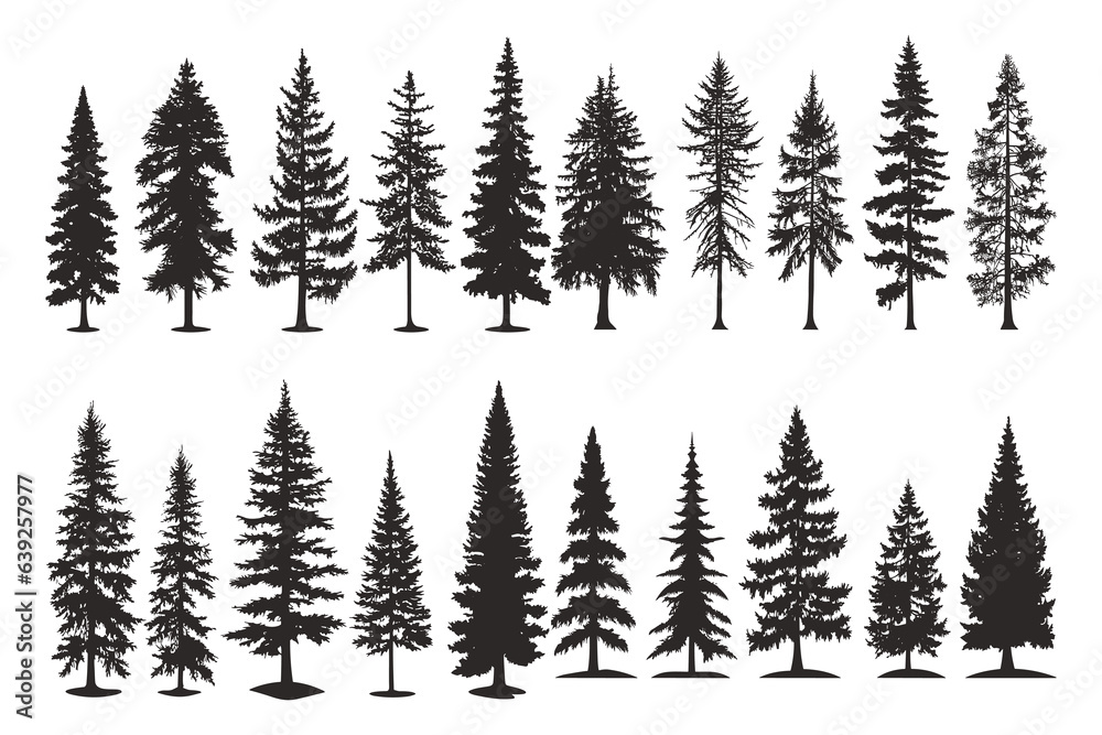 Set of silhouettes of spruce trees vector illustration - obrazy, fototapety, plakaty 