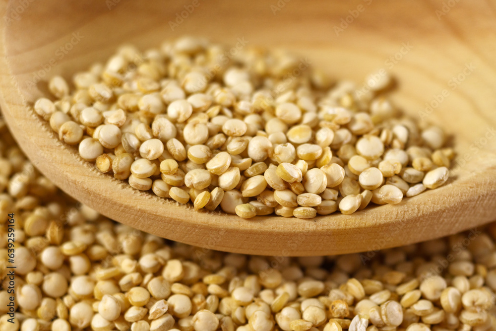 White quinoa uncooked seeds texture close up macro. Selective focus. White quinoa uncooked seeds texture close up macro. Selective focus.