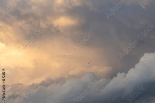 Surreal cloud inn sky soft fluffy clouds with empty space. Beauty product placement pedestal present promotion minimal display, summer paradise dreamy concept with bird flying in to the clouds