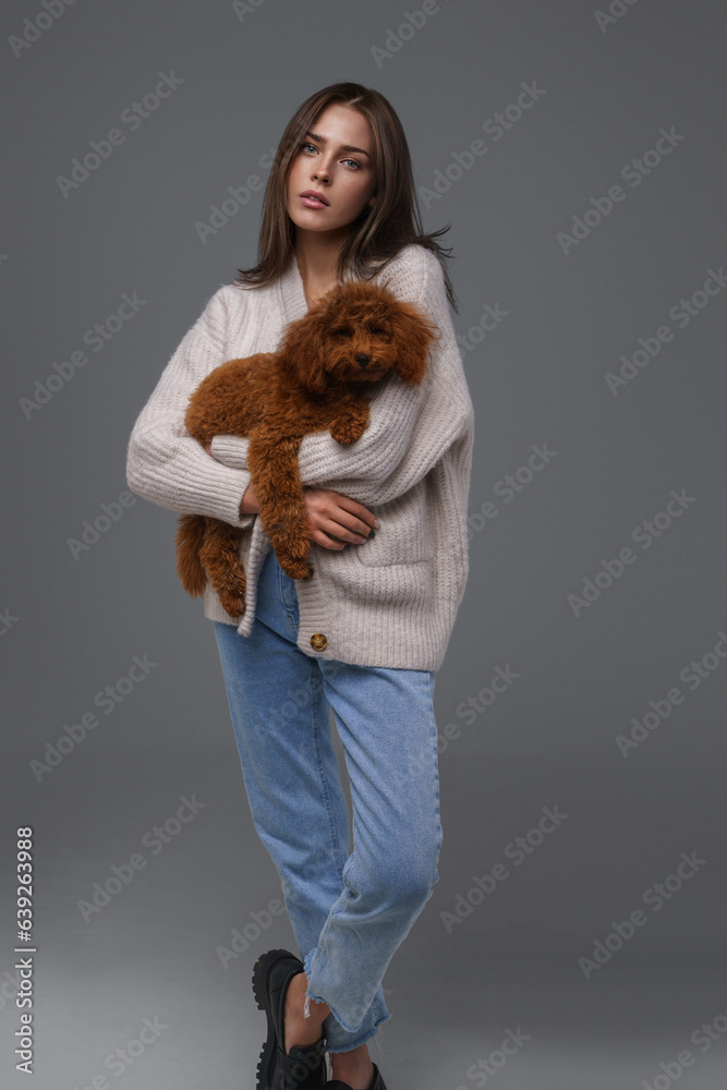 Full-length portrait of a captivating brunette in casual wear holding her brown toy poodle against a gray studio background Full-length portrait of a captivating brunette in casual wear holding her brown toy poodle against a gray studio background
