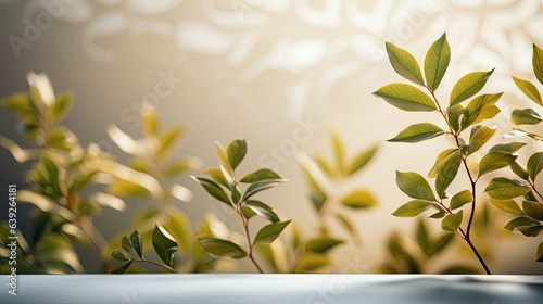 Plant leaves cast a blurry shadow on the white wall. Minimal abstract background for product presentation. Spring and summer.