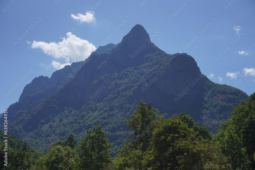Vista su un paesaggio di montagna con monte alberato, cielo azzurro, italia
