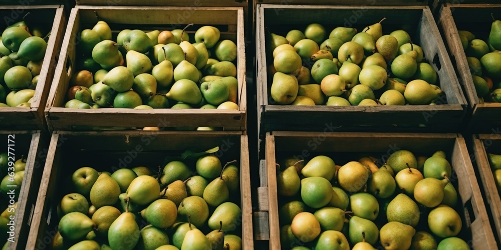 Green Williams pears in boxes harvested and ready for sale