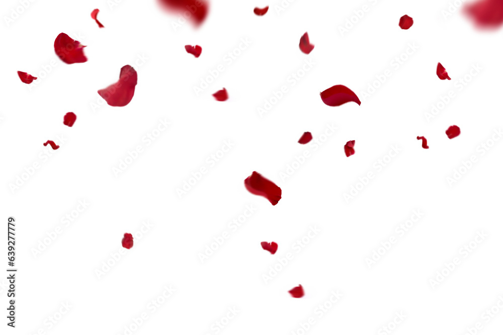 Floating red rose petal isolated on on a transparent background png. Background concept for love greetings on valentines day and mothers day. Space for text