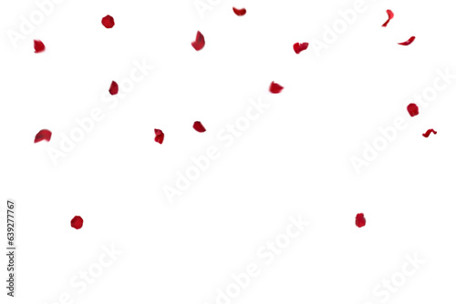 Floating red rose petal isolated on on a transparent background png. Background concept for love greetings on valentines day and mothers day. Space for text