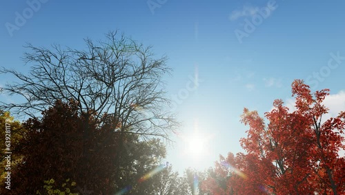 Morning in autumn forest. Sun rays break through the golden and orange foliage of magnificent autumn tree. Magical autumn landscape.