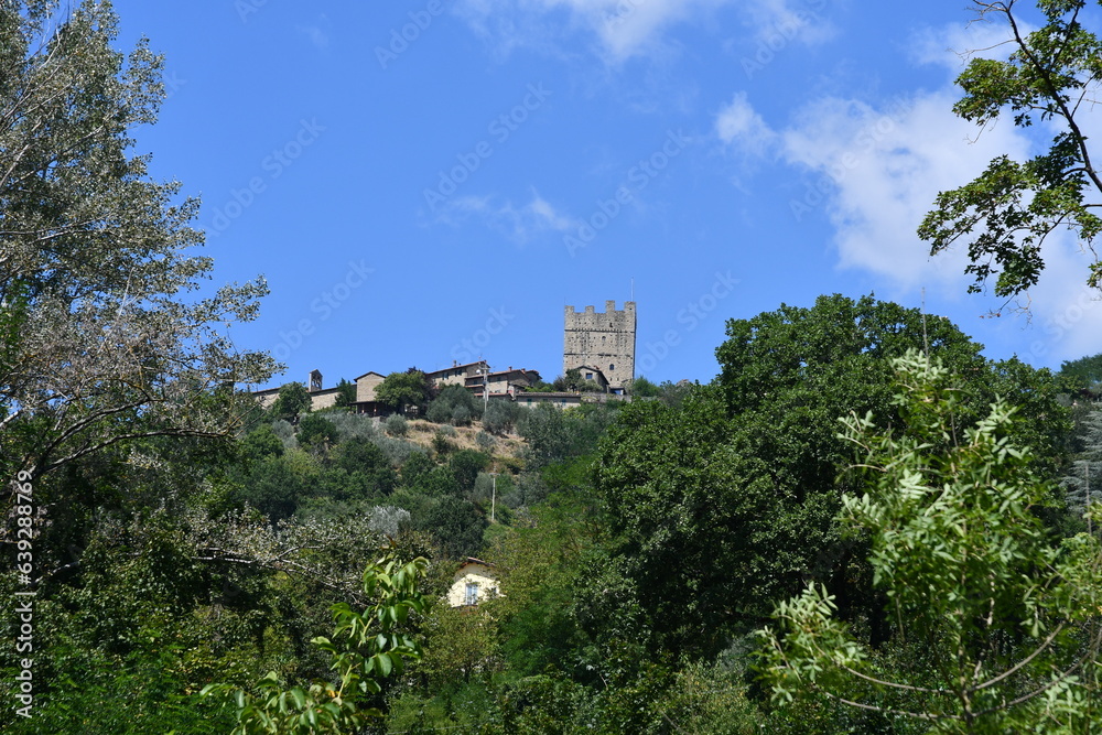 Torciano castle tower near Stia (Arezzo)