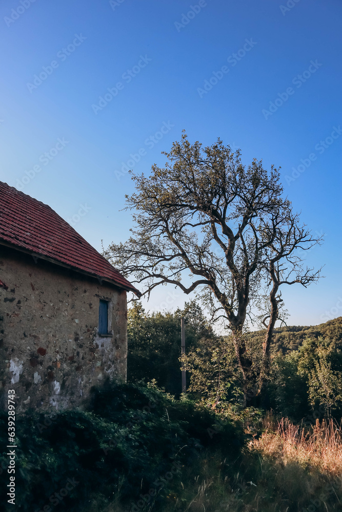 Old abandoned house of the 19th century in the village of Acquabianca, Italy Old abandoned house of the 19th century in the village of Acquabianca, Italy