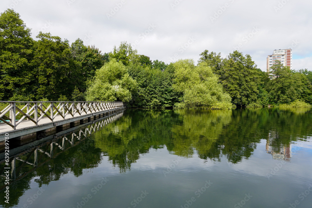 bridge over the river