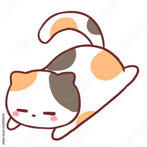 Lazy calico cat